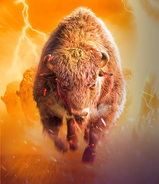 Buffalo Win